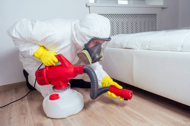 Best Flea Control Services  in Lancaster, PA