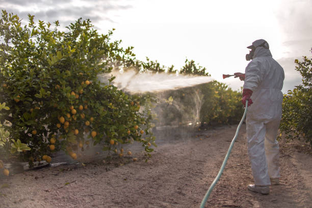 Best Commercial Pest Control Services  in Lancaster, PA