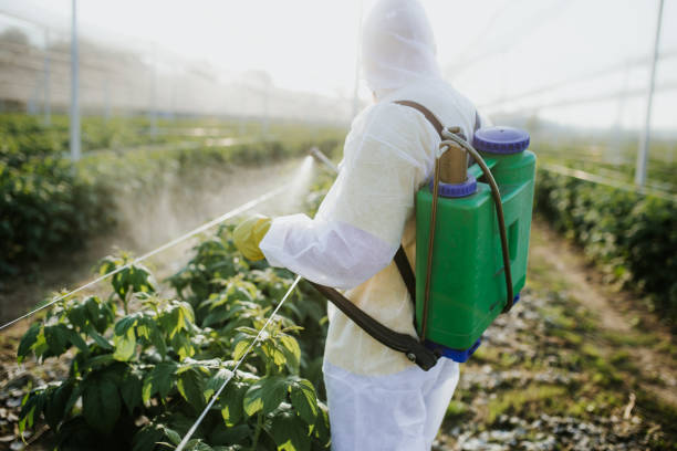 Best Best Pest Control Companies  in Lancaster, PA